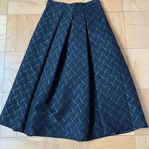 Zara Black Maxi A-Line Pleated Skirt